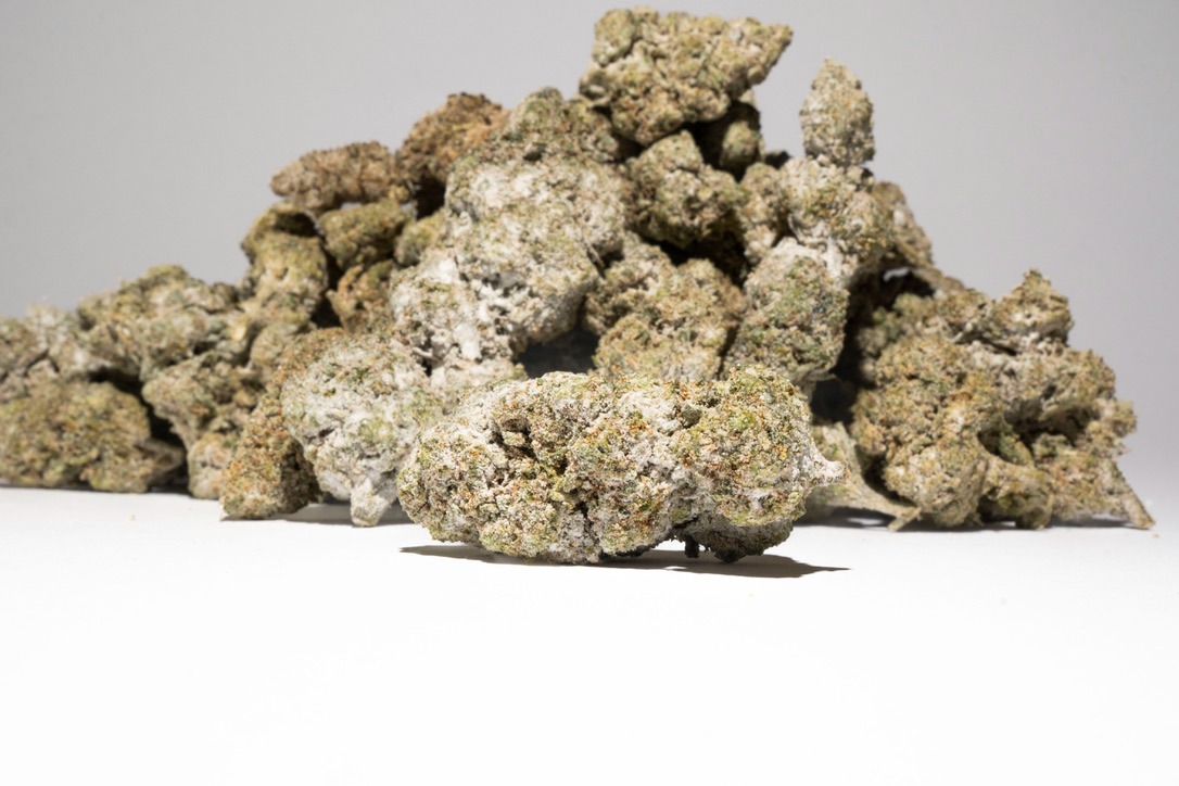 LOOKING GLASS KUSH — THCA flower